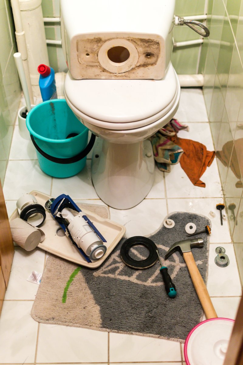 Blocked Toilet Canbury, Coombe, KT2